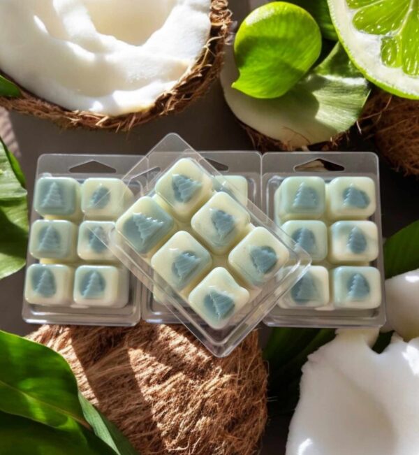 LJM67 Coconut Lime Christmas Clam Melts